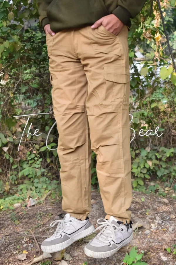 Cargo Pants For Men